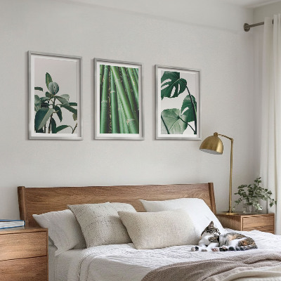 Fotowand Bambusowe łodygi i liście monstera