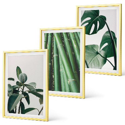 Fotowand Bambusowe łodygi i liście monstera