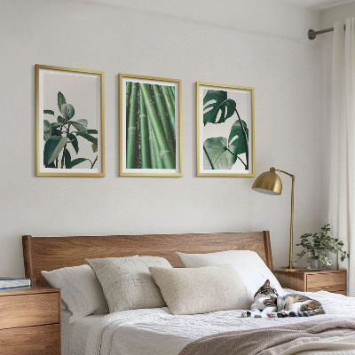 Fotowand Bambusowe łodygi i liście monstera