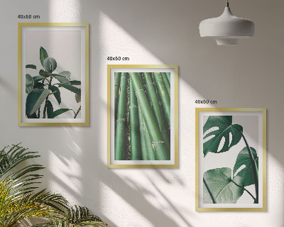 Fotowand Bambusowe łodygi i liście monstera