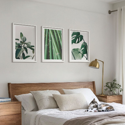Fotowand Bambusowe łodygi i liście monstera