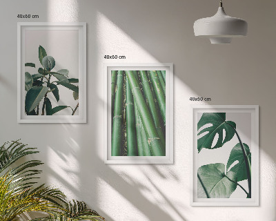 Fotowand Bambusowe łodygi i liście monstera