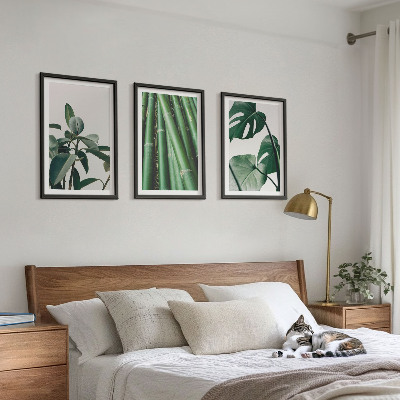 Fotowand Bambusowe łodygi i liście monstera