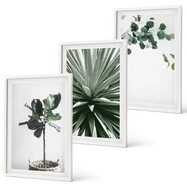 Fotowand minimalistische groene planten