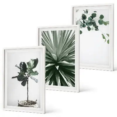 Fotowand minimalistische groene planten