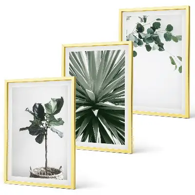 Fotowand minimalistische groene planten