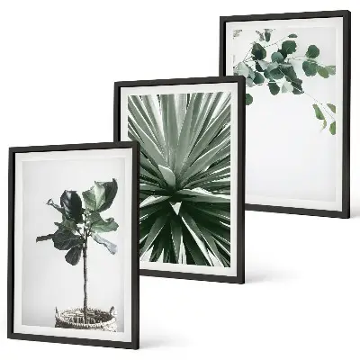 Fotowand minimalistische groene planten