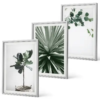 Fotowand minimalistische groene planten