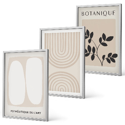 Fotowand Boho delikatne postery roślinne