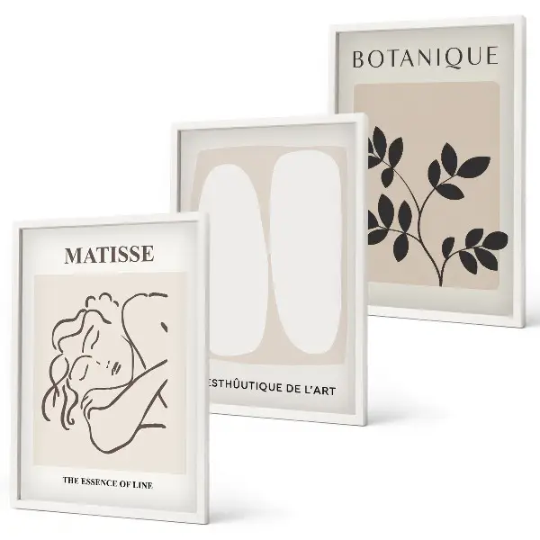 Set van wanddecoratie schilderijen stijlvolle botanische Matisse prints