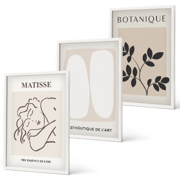 Wanddecoratie set schilderijen Stylowe obrazy roślinne Matisse