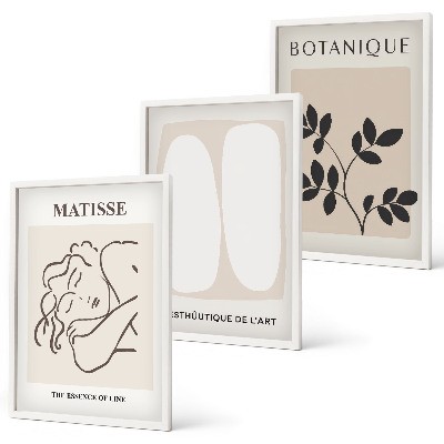 Wanddecoratie set schilderijen Stylowe obrazy roślinne Matisse