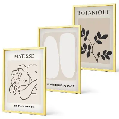 Set van wanddecoratie schilderijen stijlvolle botanische Matisse prints