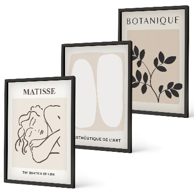 Wanddecoratie set schilderijen Stylowe obrazy roślinne Matisse