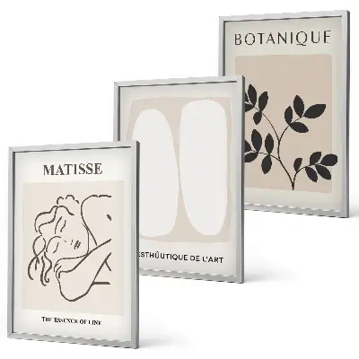Set van wanddecoratie schilderijen stijlvolle botanische Matisse prints