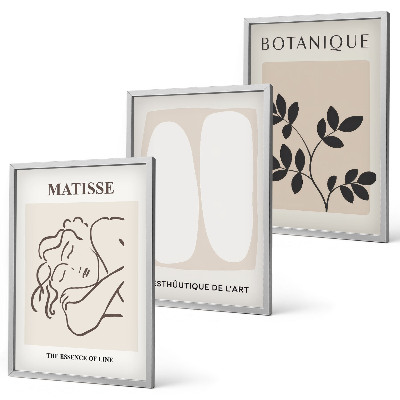 Wanddecoratie set schilderijen Stylowe obrazy roślinne Matisse