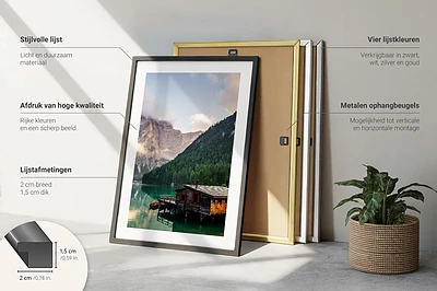 Set wanddecoratie met schilderijen met geometrische botanische patronen