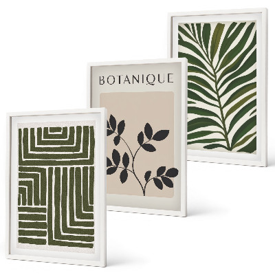 Fotowand Botaniczne boho minimalizm