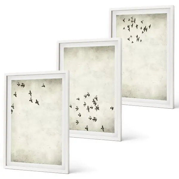 Set van wanddecoratie schilderijen minimalistisch ontwerp met vogels