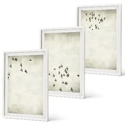 Wanddecoratie set schilderijen Minimalistyczny malunek ptaków