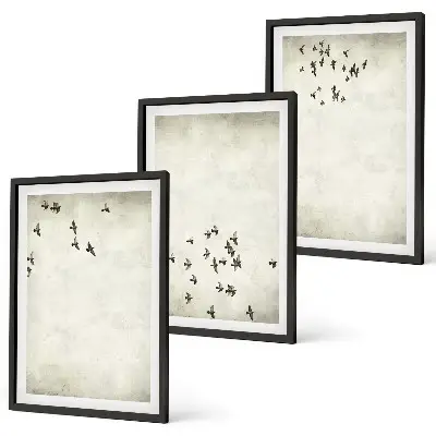 Set van wanddecoratie schilderijen minimalistisch ontwerp met vogels