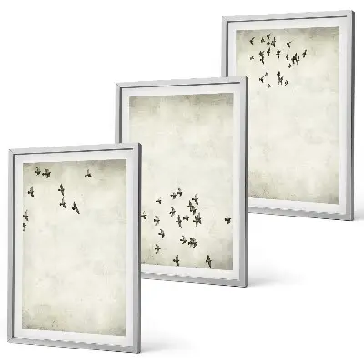 Set van wanddecoratie schilderijen minimalistisch ontwerp met vogels
