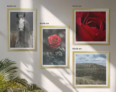 Meerluik in lijst rode rozen met paard op een grijze achtergrond
