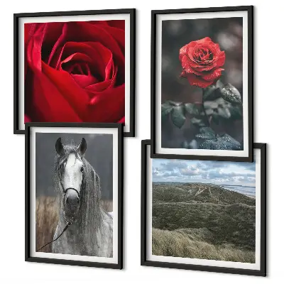 Meerluik in lijst rode rozen met paard op een grijze achtergrond