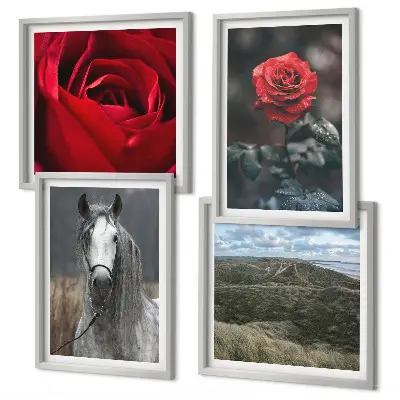 Meerluik in lijst rode rozen met paard op een grijze achtergrond