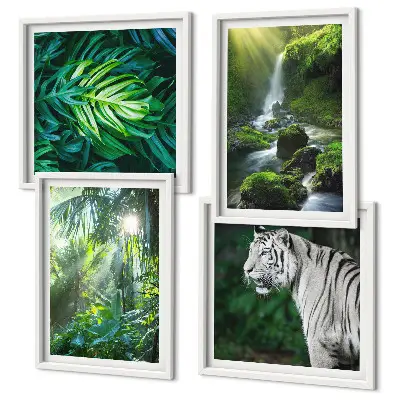 Set van posters met lijst Jungle Witte Tijger Waterval