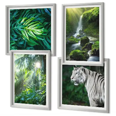 Jungle Witte Tijger Waterval poster set met lijst