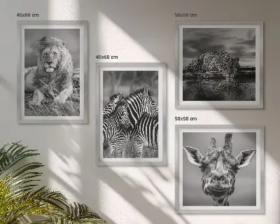 Wanddecoratie wilde dieren meerluik van een leeuw, jaguar, giraffe en zebra's in lijst