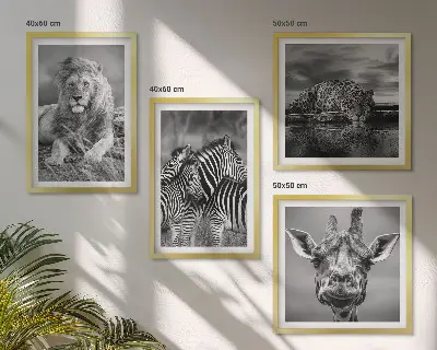 Wanddecoratie wilde dieren meerluik van een leeuw, jaguar, giraffe en zebra's in lijst