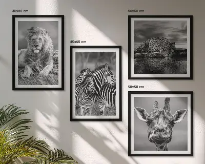 Wanddecoratie wilde dieren meerluik van een leeuw, jaguar, giraffe en zebra's in lijst