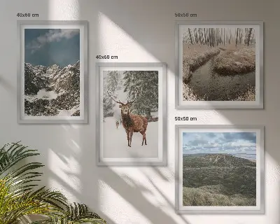 Set posters met lijst met berglandschap, sneeuwherten en bos