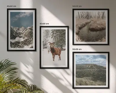 Set posters met lijst met berglandschap, sneeuwherten en bos