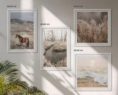 Paardenlandschap zeegrasbos meerluik in lijst