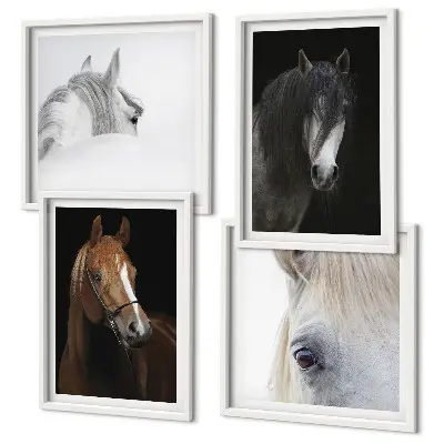 Set van posters met lijst Paardenportretten in verschillende tinten