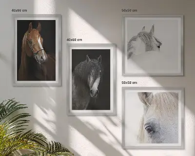 Set van posters met lijst Paardenportretten in verschillende tinten