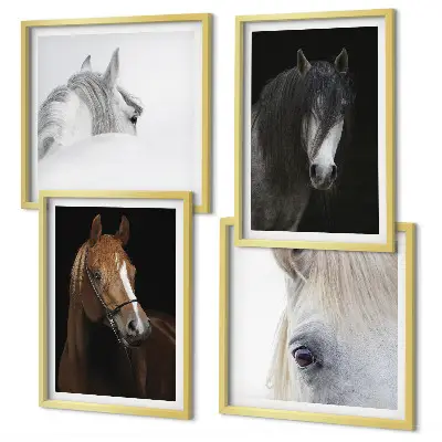 Set van posters met lijst Paardenportretten in verschillende tinten