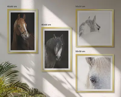 Set van posters met lijst Paardenportretten in verschillende tinten