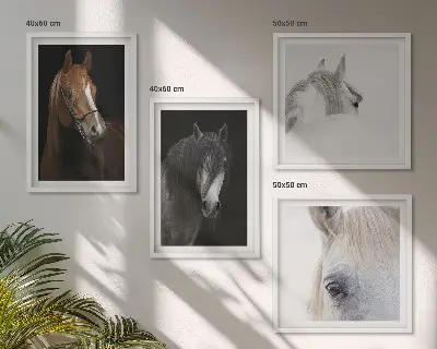 Set van posters met lijst Paardenportretten in verschillende tinten