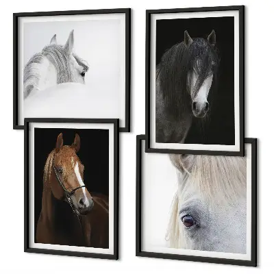 Set van posters met lijst Paardenportretten in verschillende tinten