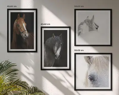 Set van posters met lijst Paardenportretten in verschillende tinten