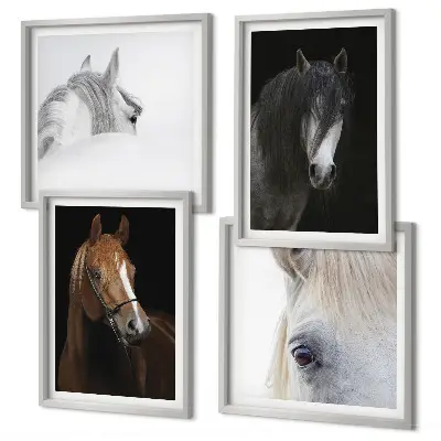 Set van posters met lijst Paardenportretten in verschillende tinten