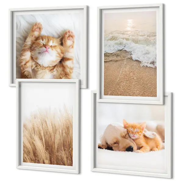 Set posters met lijst met schattige katten, honden en strandthema