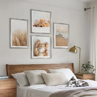 Set posters met lijst met schattige katten, honden en strandthema