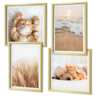 Set posters met lijst met schattige katten, honden en strandthema