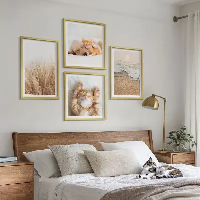 Set posters met lijst met schattige katten, honden en strandthema