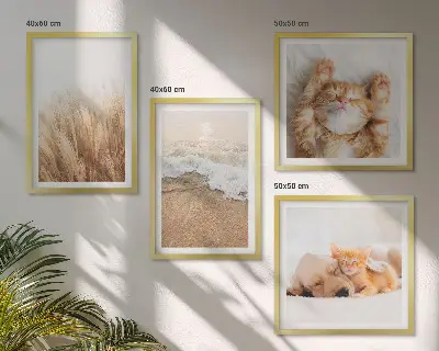 Set posters met lijst met schattige katten, honden en strandthema